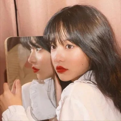 完美伴侣