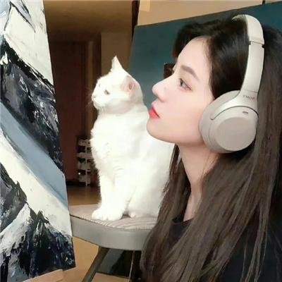 小熊维尼与大风吹